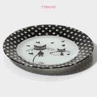 Тарелка Доляна «Котики», d=18 см, стекло, белая, чёрная - Фото 2