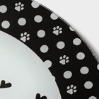 Тарелка стеклянная пирожковая Доляна «Котики», d=18 см - фото 4311588