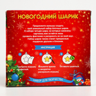 Ёлочные шары под раскраску «Счастливый Новый год», 4 шт., d=5.5 см, набор для творчества - Фото 5