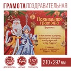 Похвальная грамота на Новый Год «От Деда Мороза», А4., 157 гр/кв.м - фото 108929615