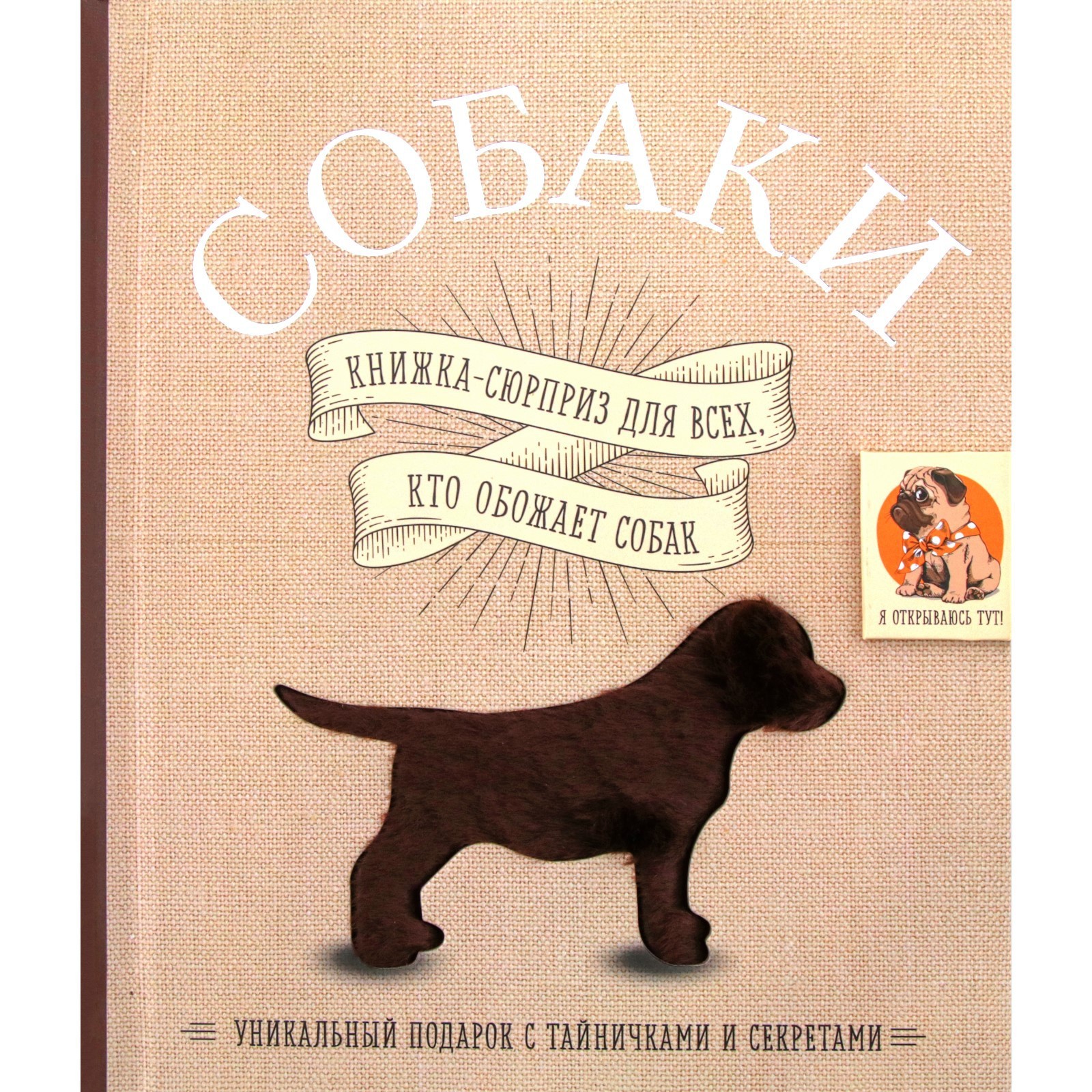 Собачьи книги. Ушинский к. "Бишка"