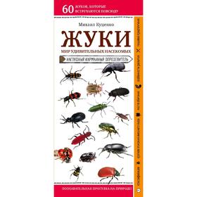 

Жуки. Мир удивительных насекомых, Куценко М.