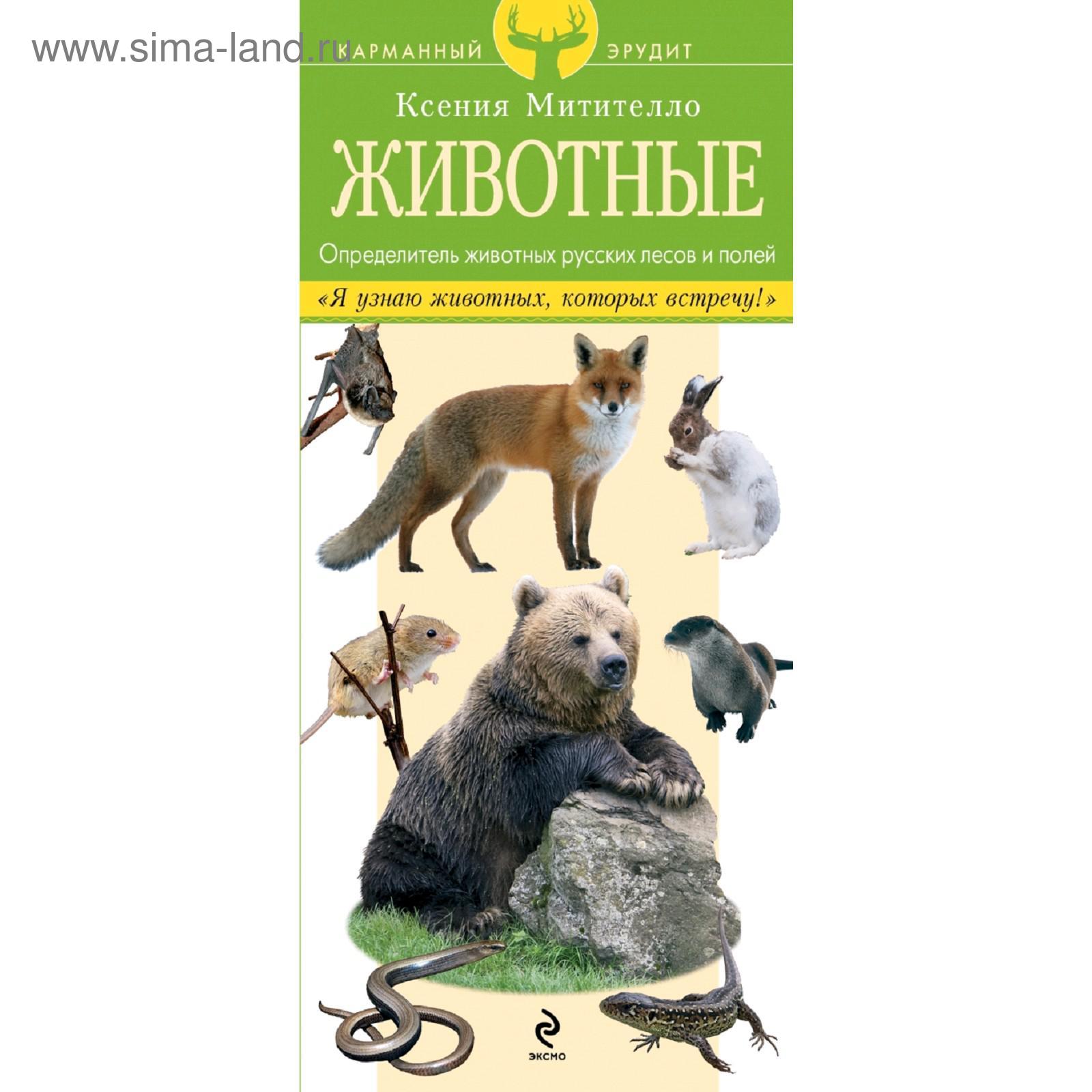Лучший определитель. Животные России. (4646495) - Купить по цене от 348.00 руб.
