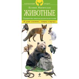 

Животные. Определитель животных русских лесов и полей, Митителло К.Б.