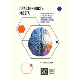 Пластичность мозга. Факты о том, как мысли способны менять структуру и функции нашего мозга