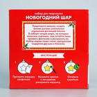 Ёлочные шары под раскраску на новый год «Дисней», 4 шт, d = 5.5 см, набор для творчества - Фото 5