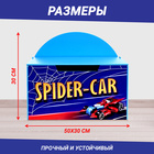 Контейнер-сундук с крышкой SPIDER CAR, цвет синий - фото 8935017