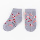 Набор новогодних детских носков Крошка Я «Пингвин», 2 пары, 6-8 см - фото 30299546