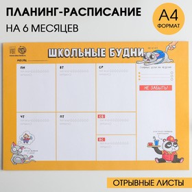 Планинг-расписание школьника А4, 30 л "Школьные будни" 5138977