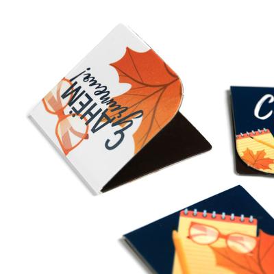 Магнитные закладки для книг, 4 шт., в открытке «С днем учителя»