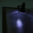 Фонарь-лампа "Мастер К", с закладкой для чтения книг, LR41 - Фото 2