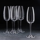 Набор бокалов для шампанского Anser, 290 мл, 6 шт - фото 5661990