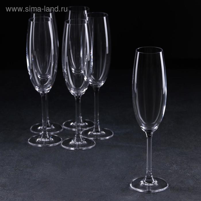 Набор бокалов для шампанского Colibri, 220 мл, 6 шт - Фото 1