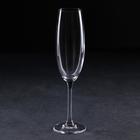 Набор бокалов для шампанского Colibri, 220 мл, 6 шт - Фото 2