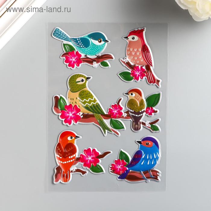 Наклейка пластик выпуклый "Птицы" МИКС 27х15 см - Фото 1