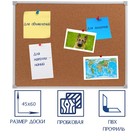 Доска пробковая А2, 45×60 см, Calligrata, в ПВХ рамке белого цвета - Фото 1