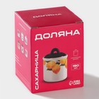 Сахарница-солонка Доляна «Лаванда», 150 мл, d=7 см, доломит, белая, фиолетовая - Фото 9