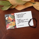 Браслет желаний «Гематит» tube на коричневой нити, длина регулируется - Фото 3