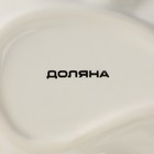 Блюдо сервировочное Доляна «Лаванда», 21×15×4,5 см, цвет белый - Фото 6