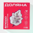 Блюдо сервировочное Доляна «Лаванда», 21×15×4.5 см, цвет белый - Фото 8