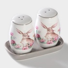 Набор для специй Доляна «Зайка», солонка, перечница, 130 мл, доломит, белый - Фото 3