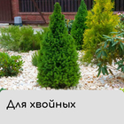 Чехол для растений, конус на завязках, 120 × 100 см, спанбонд с УФ-стабилизатором, плотность 60 г/м², МИКС 5282459 - фото 11383445