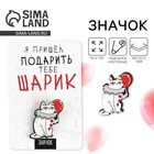 Значок "Я пришёл подарить тебе шарик", 8 х 12 см - Фото 2