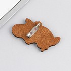 Значок "Я пришёл подарить тебе шарик", 8 х 12 см - Фото 5