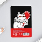 Значок "Я пришёл подарить тебе шарик", 8 х 12 см - Фото 6