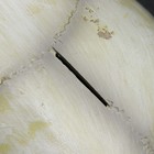 Копилка "Череп" кость белая, 16х13х22см - фото 6323918