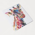 Папка для документов, 2 комплекта, цвет белый - Фото 2