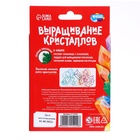 Выращивание кристаллов «Опыты. Лучистый кристалл», цвет зелёный 5115229 - фото 13518059