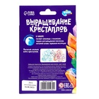 Выращивание кристаллов «Опыты. Лучистый кристалл», цвет синий 5115230 - фото 13518060