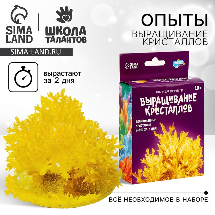Выращивание кристаллов «Опыты. Лучистый кристалл», цвет жёлтый - Фото 1