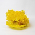 Набор для творчества «Лучистые кристаллы», цвет жёлтый - фото 3706800