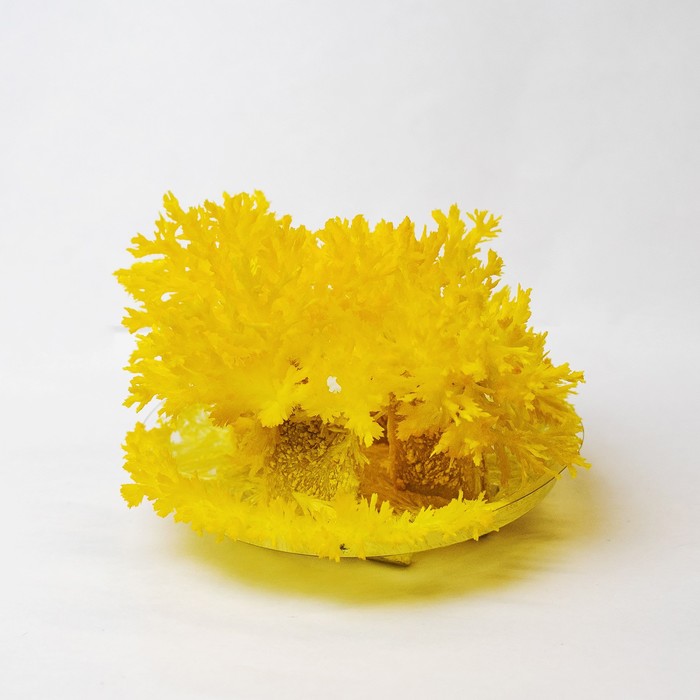 Набор для творчества «Лучистые кристаллы», цвет жёлтый - Фото 1