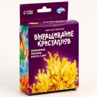 Выращивание кристаллов «Опыты. Лучистый кристалл», цвет жёлтый - фото 122927543