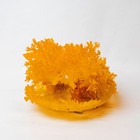 Набор для выращивания кристалла «Опыты. Лучистые кристаллы», цвет оранжевый - Фото 2