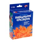 Набор для выращивания кристалла «Опыты. Лучистые кристаллы», цвет оранжевый - Фото 4