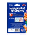 Выращивание кристаллов «Опыты. Лучистые кристаллы», цвет оранжевый 5115232 - фото 13518065