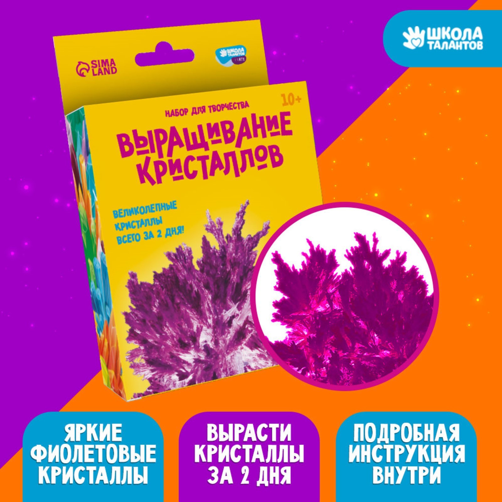 Набор для творчества «Лучистые кристаллы», цвет фиолетовый (5115234) -  Купить по цене от 148.00 руб. | Интернет магазин SIMA-LAND.RU