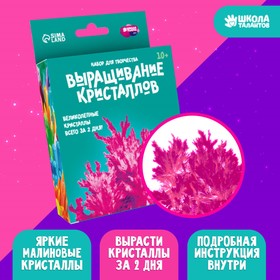 Выращивание кристаллов «Опыты. Лучистый кристалл», цвет малиновый 5115235