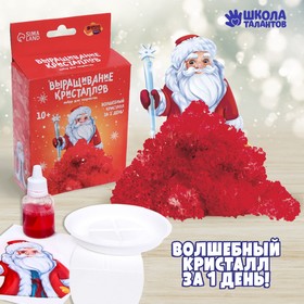 Набор для творчества «Лучистые кристаллы»: Дед Мороз, цвет красный