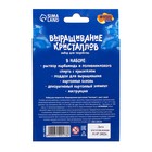 Новогодний набор для творчества. Выращивание кристаллов «Новый год! Снеговик», цвет синий - Фото 5