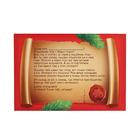 Новогодний квест по поиску подарка «Новый год: Праздничный», 11 подсказок, письмо, 5+ - Фото 4