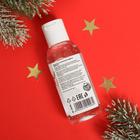 Антисептический гель для рук «С НГ!», киви, 50 мл - Фото 2