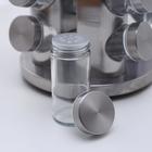 Набор для специй «Профи», 21×21×34 см, 20 шт., на подставке, металлик - Фото 4