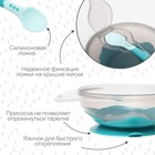 Тарелка M&B на присоске, с крышкой + ложка, 400 мл, бирюзовый - Фото 2