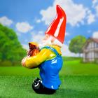 Садовая фигура из гипса «Гном с мешком», 51×25×22 см - Фото 8