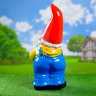 Садовая фигура из гипса «Гном с мешком», 51×25×22 см - Фото 10